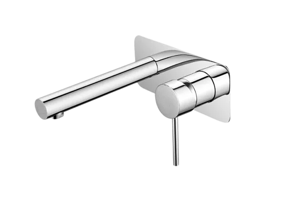 IDWS1-removebg-preview